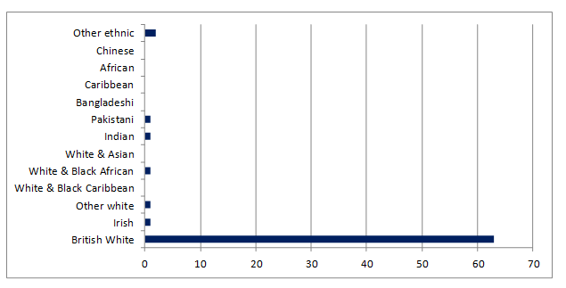 Ethnicity Profile Chart