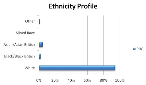 Ethnicity profile graph