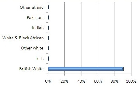 Ethnicity profile graph